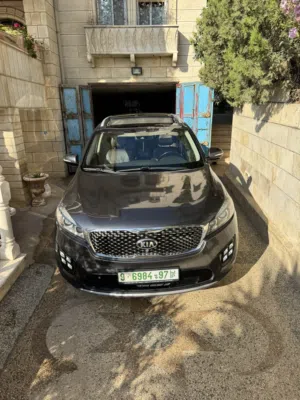 Used Kia Sorento in Hebron