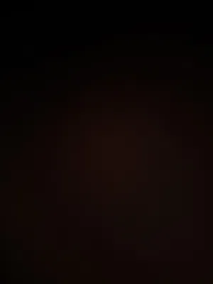Apple iPhone 11 Pro Max 256 GB in Al Wustaa