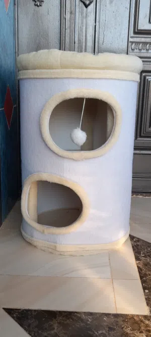 خداشة للقطط