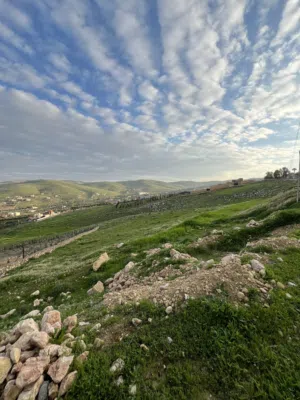 Farm Land for Sale in Zarqa Sarout