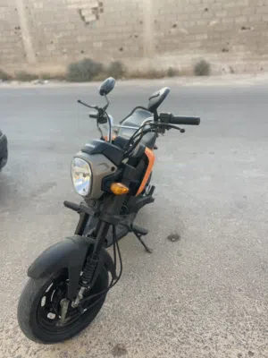 هوندا نافي 2020
