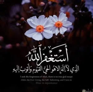 عمر البلاونه 