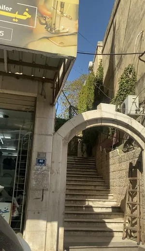 42 م٢ . المالك4