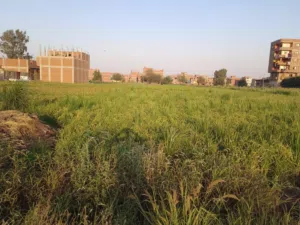 قطعة ارض للبيع