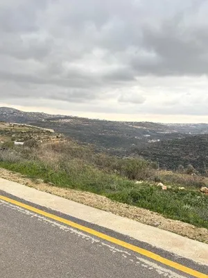 قطعتين ارض منفصلتين للبيع بسعر مغري