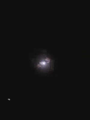 جلال المحبشي 