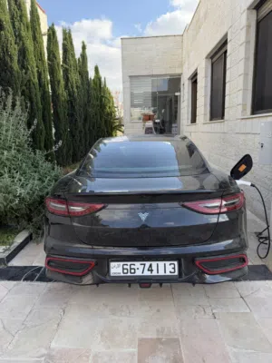 Neta car for sale