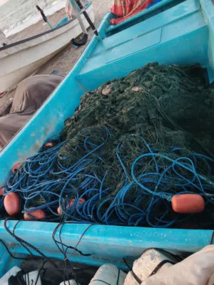 لياخ للبيع مال حلوايوة 6 قطع رغب 10 ونص خيط 9 ما شاء الله نظيفات