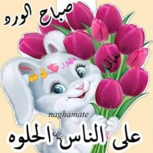 Abdullah turk 