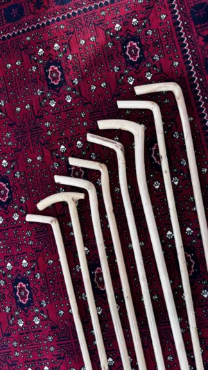 عصي العتم العماني للبيع