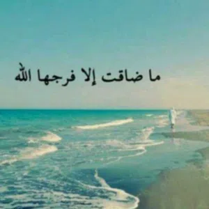 محمود محمود