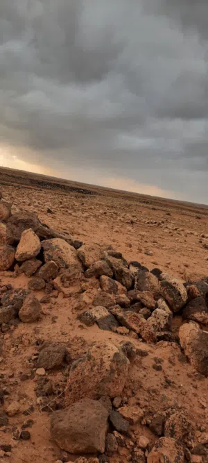 Farm Land for Sale in Bethlehem Other