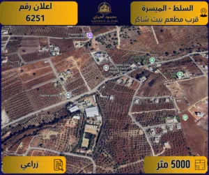 Farm Land for Sale in Salt Al Subeihi