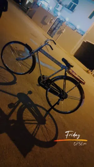 للبيع سيكل ريلي مايشكي من اي مشكله السيكل شبه جديد مستخدم اقل من اسبوع معه مقعده وره 40 وقابل بلمعقو