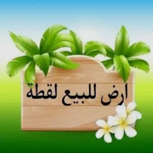 ارض للبيع في منطقه ناعور المطله على جبال القدس تصلح للإسكانات والفلل مطله عله جبال القدس من المالك