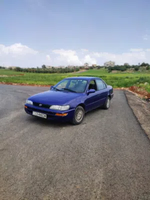 Used Toyota Corolla in Amman