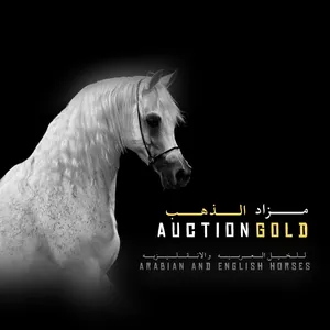 Horses1