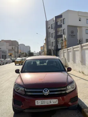 تيجوان 2013