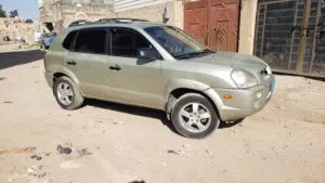 Hyundai . Tucson . 2007 . New1