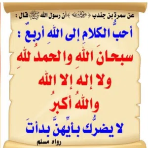 ابو ناصر 