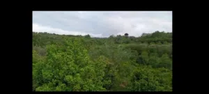 للبيع اراضي زراعية في جب حسن وفي سقوبين وسنجوان و الزقزقانية وبسنادا و... في كافة أنحاء اللاذقية