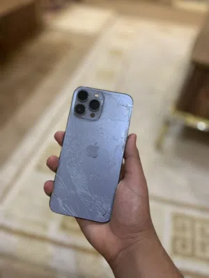 13 برو ماكس كزيوني