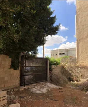 فيلا في بلعون بدروم كبير ودورين موقع ممتاز جدا وشارع واسع وحيوي موقع استراتيجي اقرا الوصف