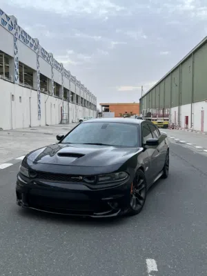 Dodge Charger SRT 392 Scat back 2021 original paint￼