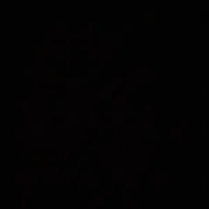 محمد السناني 