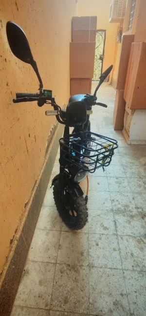 MG Pro Electronic Bike