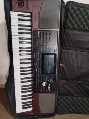 Korg pa1000 + Travel case