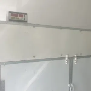 فقاسه البيض