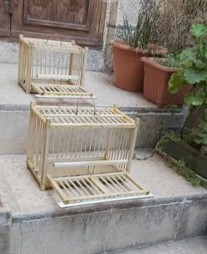 Accessories . Birds & Poultry1