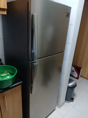 Samsung two door fridge 60cm width 170cm height with catalog brand new condition
