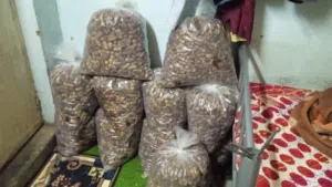 سح نغال محقب نظيف  12 كيلو ب 10 ريال