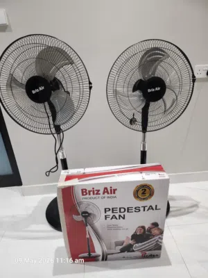 Pedestal Fan