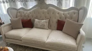 طقم اثاث مجلس نظيف مع المخدات