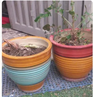 للبيع عدد 2 اصايص