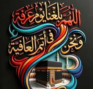 ASHRAF ELSAYED 