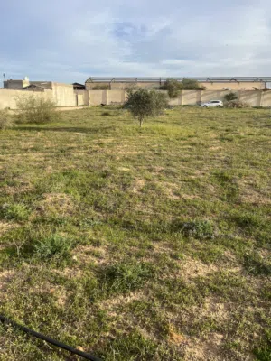 Mixed Use Land for Sale in Tripoli Tajura
