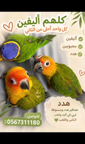 كلهم تعتمدين على نفسهم بس واحد ياس يكسر