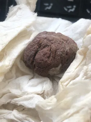 حجر سلطاني مصور على شكل فرج للبيع