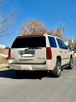 Used Cadillac Escalade in Irbid