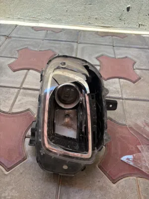 فنار فينو 2019/2020