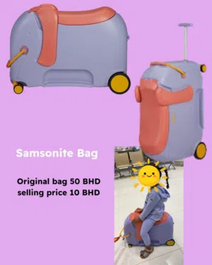 Samsonite Bag