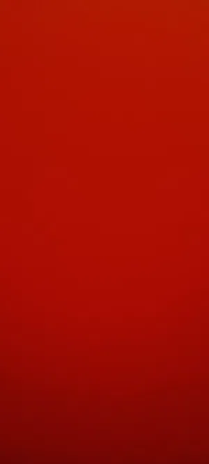 موجود جوزين عصافير حب تحت فراخ الجوزين وفي جوز جنه للشراء ما اقصر معو