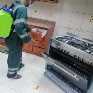 شركة تنل لمكافحة الحشرات والقوارض والصراصير بأقوي المبيدات الحشراية مع الضمان