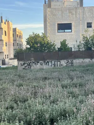 ارض سكنيه بمنطقه الجويده حي الباير منطقه بناء جديد وهادئة