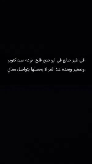 طير ضايع في ابو ضبي فلح نوعه صن كنوير وصغير وبعده علا الغر الي يحصلها متواصل علا رقم