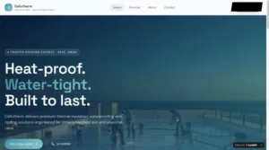 professional website developer Any kind of website Details in description